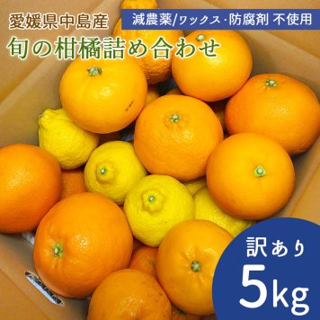 訳あり 中島産 旬の柑橘詰合せ 5kg みかん 中島まどんな レモン 天草 ポンカン 伊予柑 はれひめ はるみ たまみ ひめのつき せとか 不知火 媛小春 ブラッドオレンジ 清見 サマー清見 はるか 甘夏 カラマンダリン 河内晩柑 希望の島産【送料無料】