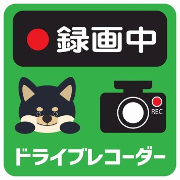 ドラレコ ステッカー シール 録画中 ドライブレコーダー 黒柴 グリーン 13x13cm 正方形 おしゃれ かわいい ドラレコシール 安全対策 危険運転 煽り運転 前後 アニマル 動物 イラスト付 ドライブレコーダー REC  カーサイン