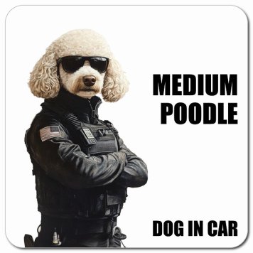 名入れ可 Medium Poodle ミディアムプードル カーサイン 車 マグネット 強力 13x13cm 正方形 セキュリティガード風 ちょい悪 マグネットステッカー 犬 安全対策 煽り運転 屋外 防水 屋内