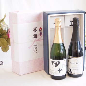 感謝の贈り物ボックス 穂坂甲州種ぶどう100%辛口スパークリングワインと国産ワインセット(MdV オアシス ブラッククイーン白スパークリングワイン辛口(長野県)750mlシャンモリ柑橘香 穂坂甲州スパークリングワイン(山梨県)750ml