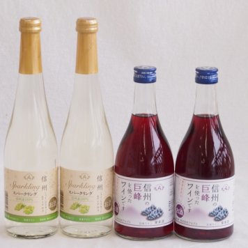 国産果物ワイン4本セット(シャインマスカット＆ナイアガラ 信州の巨峰) 500ml×4本