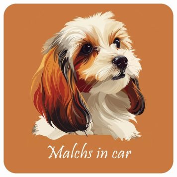 ドッグ カーステッカー イラスト付 Dog in Car マルックス Bタイプ セーフティサイン 犬種別 正方形 13x13cm シール リア あおり運転対策 Dog Sticker 屋外 屋内 防水 かわいい おしゃれ 安全対策 カーサイン