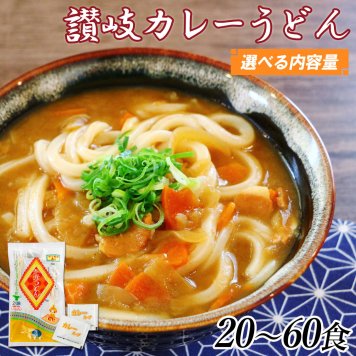 富田屋 カレーうどん 20食～60食 セット 半生 包丁切り カレースープ付 半生麺 さぬき 香川 讃岐 讃岐うどん 香川県 産地直送 お取り寄せグルメ グルメギフト プレゼント お祝い 内祝い お中元 御歳暮 【送料無料】