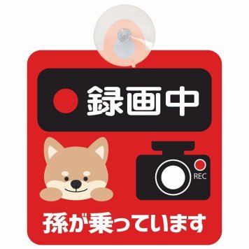 孫が乗っています 録画中 いぬ レッド セーフティサイン 吸盤タイプ 収れん火災防止タイプ 安全運転 車内用 煽り運転対策 安全対策 カーサイン イラスト かわいい