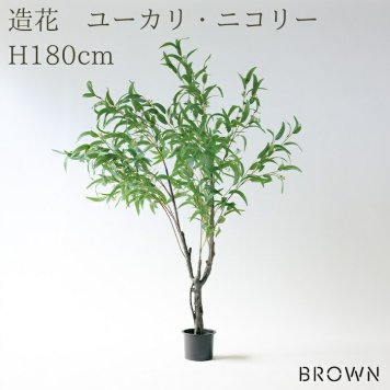 観葉植物 造花 ユーカリ・ニコリー BROWN 全高約180cm 大型 フェイクグリーン 高級 本物そっくり リアル おしゃれ ナチュラル インテリア 人工観葉植物 アーティフィシャルグリーン オフィス 店舗 ホテル カフェ 開店祝い 室内 リビング 玄関 風水 ユーカリの木