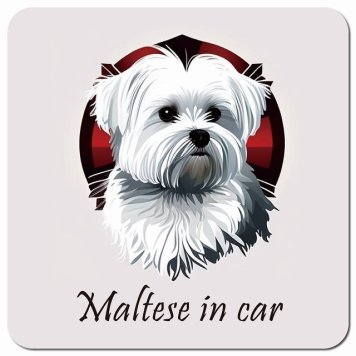 イラスト付 Dog in Car マルチーズ Bタイプ カーサイン 車 マグネットステッカー 犬 マグネット 強力 13x13cm 正方形 おしゃれ かわいい ドラレコステッカー 安全対策 危険運転 煽り運転 アニマル 動物 犬種別 屋外 防水 屋内