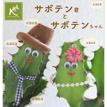 《笑顔を見せてプレゼント》敬老の日 癒しの笑顔シリーズ さぼてん君とサボテンちゃん 【かわいいサボテン テーブルサイズ 育てやすい 多肉植物 ユーフォルビア ダイウンカク 大雲閣 枯れにくい 観葉植物 おしゃれ めずらしい 変わった 御祝 ビックリ 楽しい 嬉しい 感謝 幸 京都 】サボテン【送料無料(一部地域除く)】