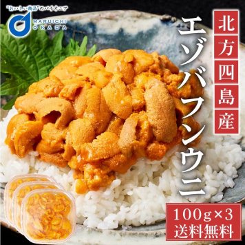  冷蔵配送 塩水うに 100gx3パック 北方四島産 生うに バフン ウニ 生ウニ 雲丹 北海道 グルメ 場外市場 無添加 塩水パック 母の日 ギフト プレゼント 【冷凍】【生鮮】 お取り寄せ
