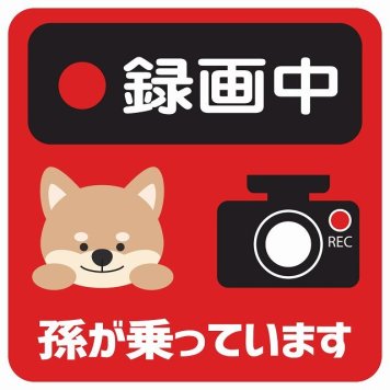 孫が乗っています 録画中 いぬ レッド サインステッカー シール 車 ステッカー 正方形 13x13cm 防水 屋内 屋外 セーフティサイン 安全対策 車用 安全運転 煽り運転対策 安全対策 かわいい イラスト カーサイン