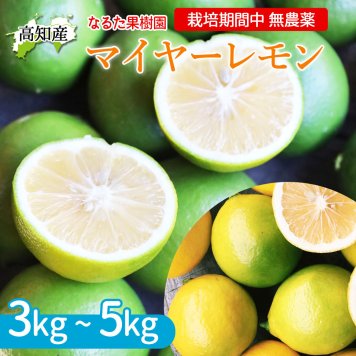 マイヤーレモン グリーンレモン 3kg 栽培期間中 無農薬 高知産 レモン 檸檬 国産 皮ごと食べられる 国産レモン 産地直送 高知県宿毛市 産直 グルメ 出荷時期によりグリーンからイエローに変化します【送料無料】