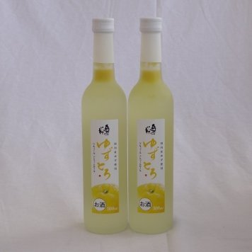 とろり果汁・果肉とお米のうまみが見事にコラボした ゆずとろ500ml(福島県) 500ml×2本