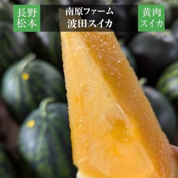 【予約】スイカ【南原ファーム】高級 波田スイカ 黄肉スイカ 2L～3L 7～9kg 長野県松本市 御中元 《7/中旬より出荷》フルーツ 送料無料【一部地域を除く】