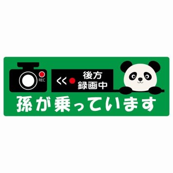 孫が乗っています 後方録画中 ぱんだ グリーン サインステッカー シール 車 ステッカー 長方形 14x5cm 防水 屋内 屋外 セーフティサイン 安全対策 車用 安全運転 煽り運転対策 安全対策 かわいい イラスト カーサイン