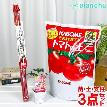 ベランダ菜園 野菜栽培セット カゴメ ミニトマト苗 こあまちゃん （苗 培養土 支柱 3点セット） KAGOME トマト栽培セット 家庭菜園 簡単