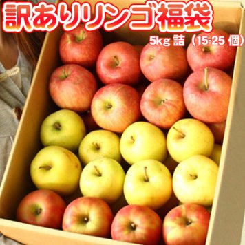 青森りんご 5kg 訳あり 送料無料 福袋 北海道産 青森産 リンゴ ※沖縄は送料別途加算 到着日指定不可