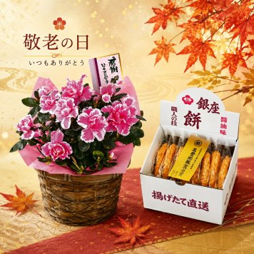 敬老の日2026 数量限定 アザレア＆選べるお菓子セット KR6-0002-02・04 お誕生日 感の気持ちをカタチに  秋にぴったりな花かごと銀座餅、セレブコレクションバームクーヘンのどちらか選べるお菓子のセット プレゼント ちょうどいい品物 ええもの広場 ばあちゃん じいちゃん