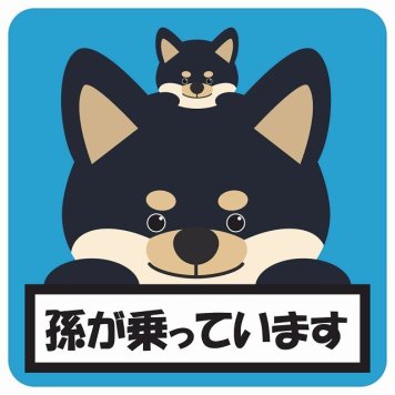 孫が乗っています 祖父母と孫 黒柴 ブルー サインステッカー シール 車 ステッカー 正方形 13x13cm 防水 屋内 屋外 セーフティサイン 安全対策 車用 安全運転 煽り運転対策 安全対策 かわいい イラスト カーサイン