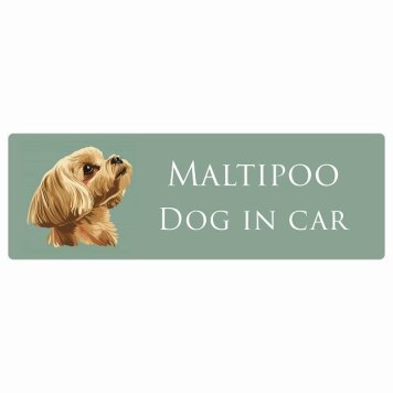 ドッグ カーステッカー イラスト付 Dog in Car マルプー Aタイプ セーフティサイン 犬種別 長方形 15x5cm シール リア あおり運転対策 Dog Sticker 屋外 屋内 防水 かわいい おしゃれ 安全対策 カーサイン