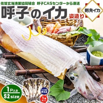 旅サラダ TVで紹介／ 呼子のイカ｜呼子 剣先いか姿造り（S2サイズ）× 合計1P | 約150～199g（1個あたり） CAS凍結 高級 剣先いか イカそーめん お刺身 天ぷらでも 姿造り 呼子漁港直送