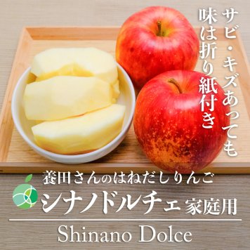 養田さんのはねだしりんご　シナノドルチェ　サビ・キズあり　家庭用　約10kg　16-46玉　長野県志賀高原産