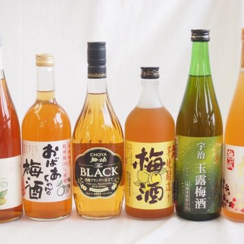 豪華梅酒6本セット(おばあちゃんの梅酒 芋焼酎仕込五代梅酒(鹿児島) 宇治玉露梅酒(京都) 高千穂産梅使用熟成梅酒 文蔵梅酒(熊本) 芳醇ブランデー仕立チョーヤ梅酒) 1800ml×1本 720ml×5本