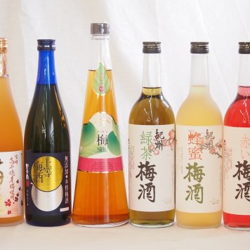 スペシャル梅酒6本セット(高千穂産梅使用熟成梅酒 手作り梅酒(宮崎県) 赤しそ赤い梅酒(和歌山) 芳醇ブランデー仕立チョーヤ梅酒 無添加上等梅酒(鹿児島) 緑茶梅酒(和歌山)) 720ml×6本
