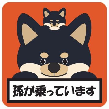 孫が乗っています 祖父母と孫 黒柴 オレンジ サインステッカー シール 車 ステッカー 正方形 13x13cm 防水 屋内 屋外 セーフティサイン 安全対策 車用 安全運転 煽り運転対策 安全対策 かわいい イラスト カーサイン