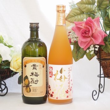 梅酒2本セット(貴梅酎スピリッツ25度(和歌山) 高千穂産梅使用熟成梅酒) 720ml×2本