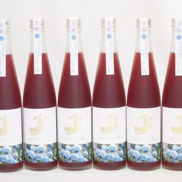 6本セット(金鯱焼酎ブレンド 知多半島のブルーベリー酒(愛知県)) 500ml×6本