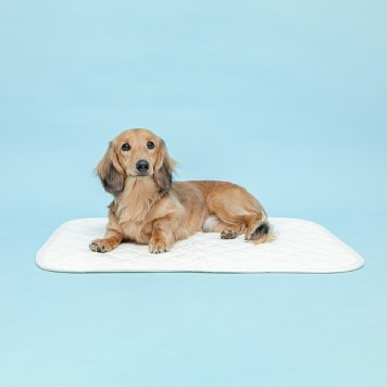 ハッピーデイズ HappyDays ベッドにも使える消臭マット M 犬 猫 消臭 抗菌 国産 ブランケット コットン100% 洗濯 丸洗いOK