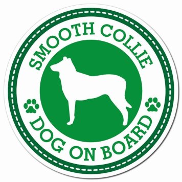 SMOOTH COLLIE スムースコリー グリーン 肉球 カーサイン 車 マグネットステッカー 犬 マグネット 強力 直径13cm 丸型 おしゃれ かわいい ドラレコステッカー 安全対策 危険運転 煽り運転 アニマル 動物 犬種別 屋外 防水 屋内 肉球マーク