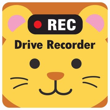 ドラレコ ステッカー シール REC Drive Recorder らいおん おでこ 13x13cm 正方形 おしゃれ かわいい ドラレコシール 安全対策 危険運転 煽り運転 前後 アニマル 動物 イラスト付 ドライブレコーダー 録画 カーサイン