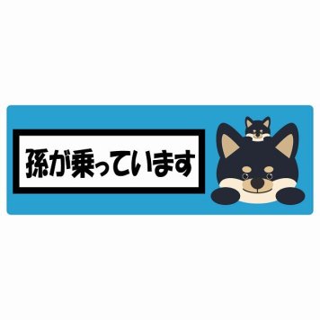 孫が乗っています 祖父母と孫 黒柴 ブルー サインステッカー シール 車 ステッカー 長方形 14x5cm 防水 屋内 屋外 セーフティサイン 安全対策 車用 安全運転 煽り運転対策 安全対策 かわいい イラスト カーサイン