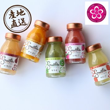 産地直送グルメ│ふみこ農園 フルーツスムージー（10本）お歳暮 冬ギフト お年賀　食べ物 飲み物 ドリンク 飲料 ジュース ギフト プレゼント 贈り物 お祝い 内祝い 結婚 出産 イベント パーティー 新築 退職 転職 引越し 還暦 人気 おすすめ