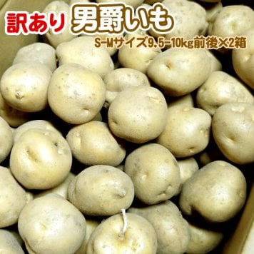 じゃがいも 訳あり北海道 じゃがいも 男爵いも S-Mサイズ 9.5-10kg前後×2箱 送料無料 ※沖縄は送料別途加算