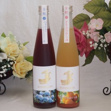 愛知果物キュール2本セット(山田錦吟醸ブレンド グレープフルーツ酒 焼酎ブレンドブルーベリー) 500ml×2本