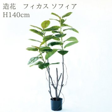 観葉植物 造花 フィカス ソフィア BROWN 全高約140cm 大型 ゴムの木 フェイクグリーン 本物そっくり おしゃれ インテリア 人工観葉植物 アーティフィシャルグリーン オフィス 店舗 ホテル 開店祝い 室内 フェイク
