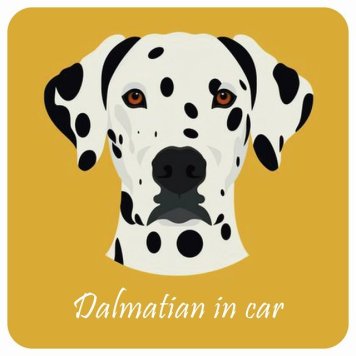 ドッグ カーステッカー イラスト付 Dog in Car ダルメシアン Aタイプ セーフティサイン 犬種別 正方形 13x13cm シール リア あおり運転対策 Dog Sticker 屋外 屋内 防水 かわいい おしゃれ 安全対策 カーサイン
