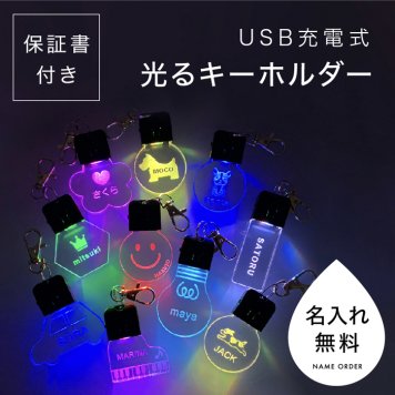 光る キーホルダー 名前 保証書付き 犬 迷子札 ライト 子供 夜道 夜の散歩 名入れ 名前入り LED 交通安全 可愛い 夜間 暗闇 ネームプレート USB 充電 名入れ 夜間散歩 夜散歩 事故防止 光るキーホルダー おしゃれ ランニング