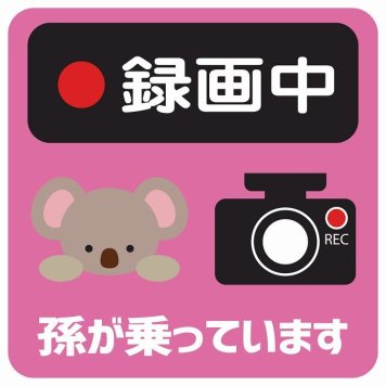 孫が乗っています 録画中 こあら ピンク サインステッカー シール 車 ステッカー 正方形 13x13cm 防水 屋内 屋外 セーフティサイン 安全対策 車用 安全運転 煽り運転対策 安全対策 かわいい イラスト カーサイン