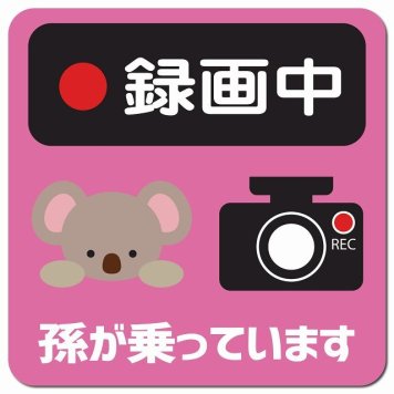 孫が乗っています 録画中 こあら ピンク カーサイン 車 マグネットステッカー マグネット 強力 13x13cm 正方形 防水 屋内 屋外 セーフティサイン 安全運転 車内用 煽り運転対策 安全対策 カーサイン イラスト かわいい