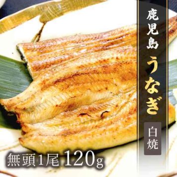 鹿児島県産 うなぎ 白焼き 1尾 120g 無頭 鰻 ウナギ 国産 冷凍 贅沢 高級 ギフト 贈り物 お祝い 内祝い 土用の丑の日 お取り寄せ グルメ 父の日 母の日 敬老の日 贈答用