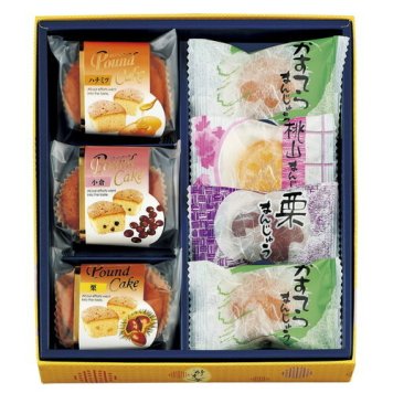 【送料無料・包装無料・のし無料】河内駿河屋 秀菓撰 CK-10(A4)お年賀 寒中見舞い 入学祝い 卒業祝い 就職祝い 結婚祝い 誕生日 出産祝い 引越祝い 香典返し 新盆 初盆 御礼 お中元 内祝い 快気祝い ご挨拶 志 法事