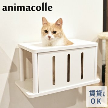 animacolle アニマコレ Catroad+ キャットトンネル