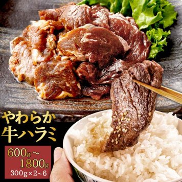 牛ハラミ(サガリ)秘伝の醤油たれ漬け300g×2～6袋