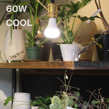 PLANTS LIGHT プランツライト 60 COOL 003382[植物育成ライト LEDライト 植物 電球 室内 家 お店 観葉植物 水耕栽培 明るさ 昼白色 リビング ダイニング ガーデニング インテリア 照明 取り付け 60W相当 交換 太陽光]         3-4W