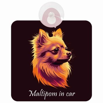 Maltipom ポメマル Bタイプ 車 窓ガラス 吸盤タイプ 犬 かっこいい おしゃれ イラスト付 DOG IN CAR ドッグインカー ドッグオンボード 安全対策 セーフティサイン デコ 外出 ドライブ カーサイン 吸盤