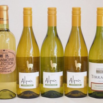 ALLシャルドネチリワイン5本セット(テラスル サンタ・ヘレナ アルパカ シャンモリ・セレクション) 750ml×4本 720ml×1本