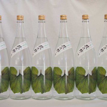 6本セットさつま無双　本格芋焼酎 黒麹造り　つわぶき紋次郎　25度　1800ml×6本［鹿児島県］