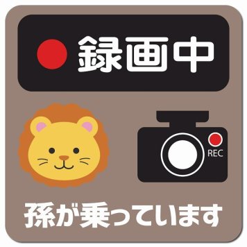 孫が乗っています 録画中 らいおん グレーベージュ カーサイン 車 マグネットステッカー マグネット 強力 13x13cm 正方形 防水 屋内 屋外 セーフティサイン 安全運転 車内用 煽り運転対策 安全対策 カーサイン イラスト かわいい